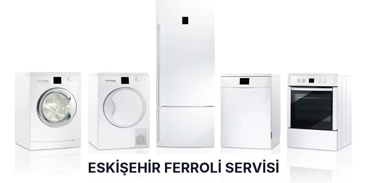 Eskişehir Ferroli Servisi