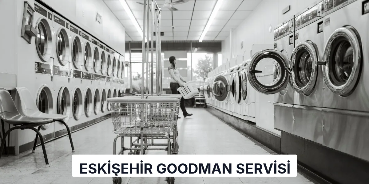 Eskişehir Goodman Servisi